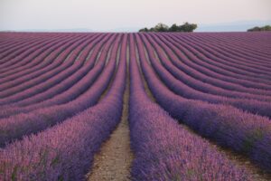 Read more about the article 25 Best & Famous France Landmarks to See